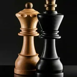 国际象棋大师