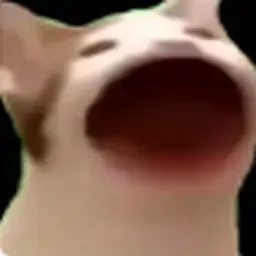 啵嘴猫