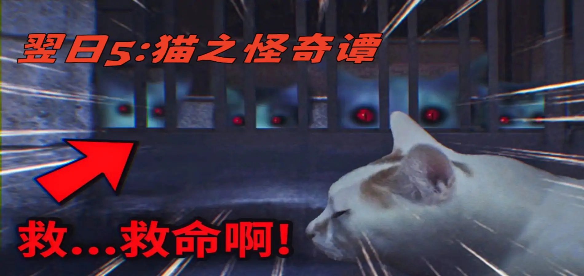 翌日5:猫之怪奇谭