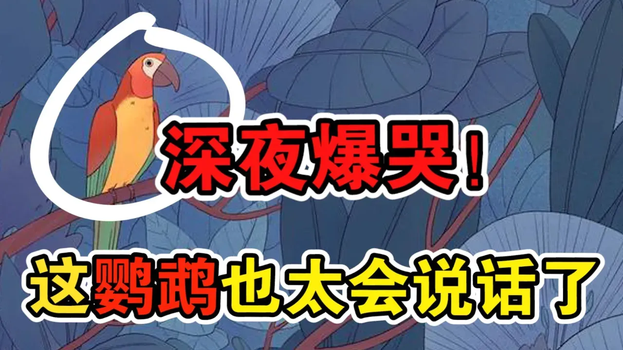 孤独的鸟儿