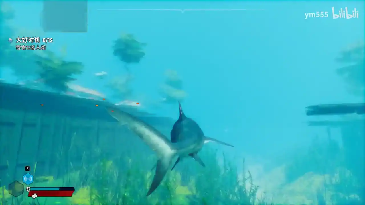 食人鲨（闪迹云游戏）