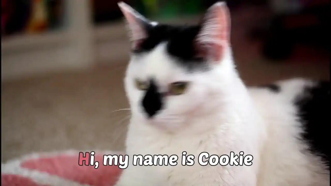 Catlateral Damage: Remeowstered