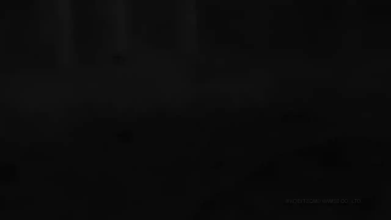 無雙☆群星大會串