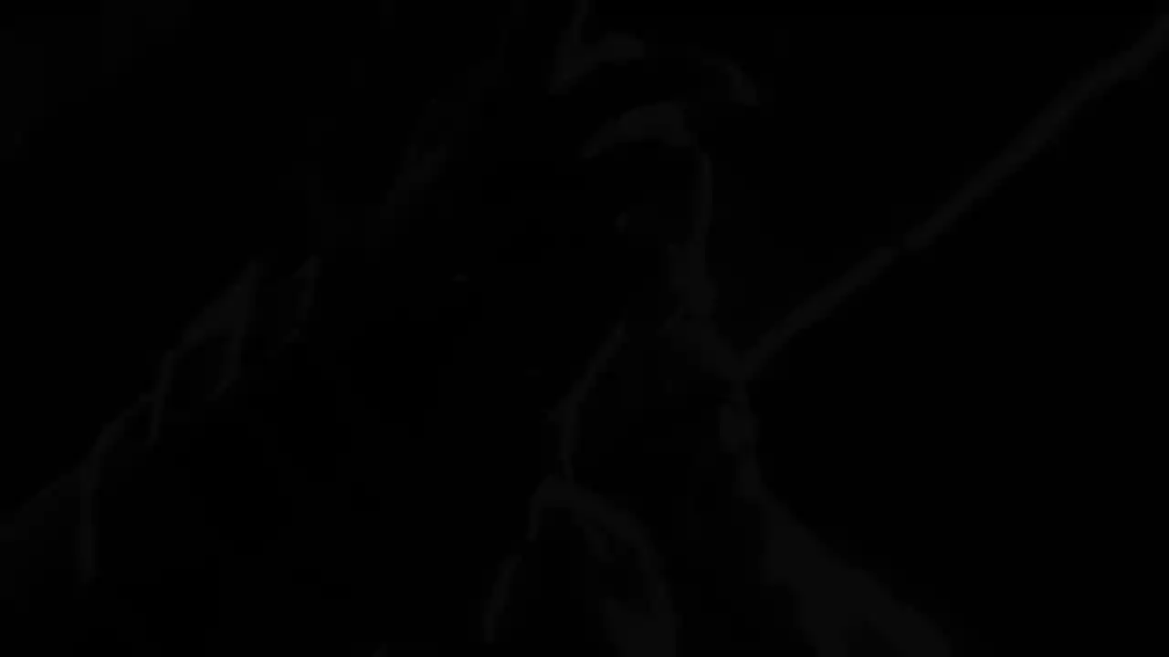 《暗黑破坏神® IV》