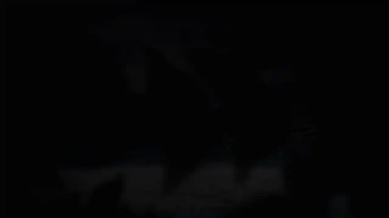 回溯依存