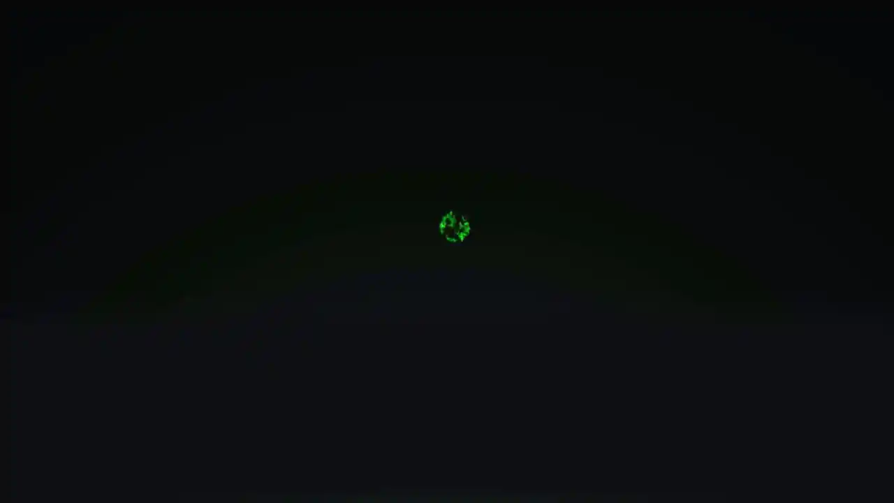 咒术回战 双华乱舞