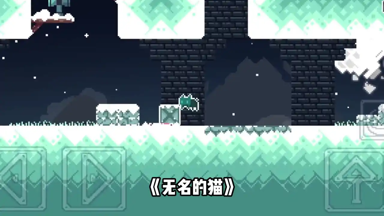 无名的猫