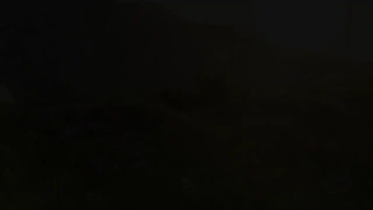 荒野（Wilderless）