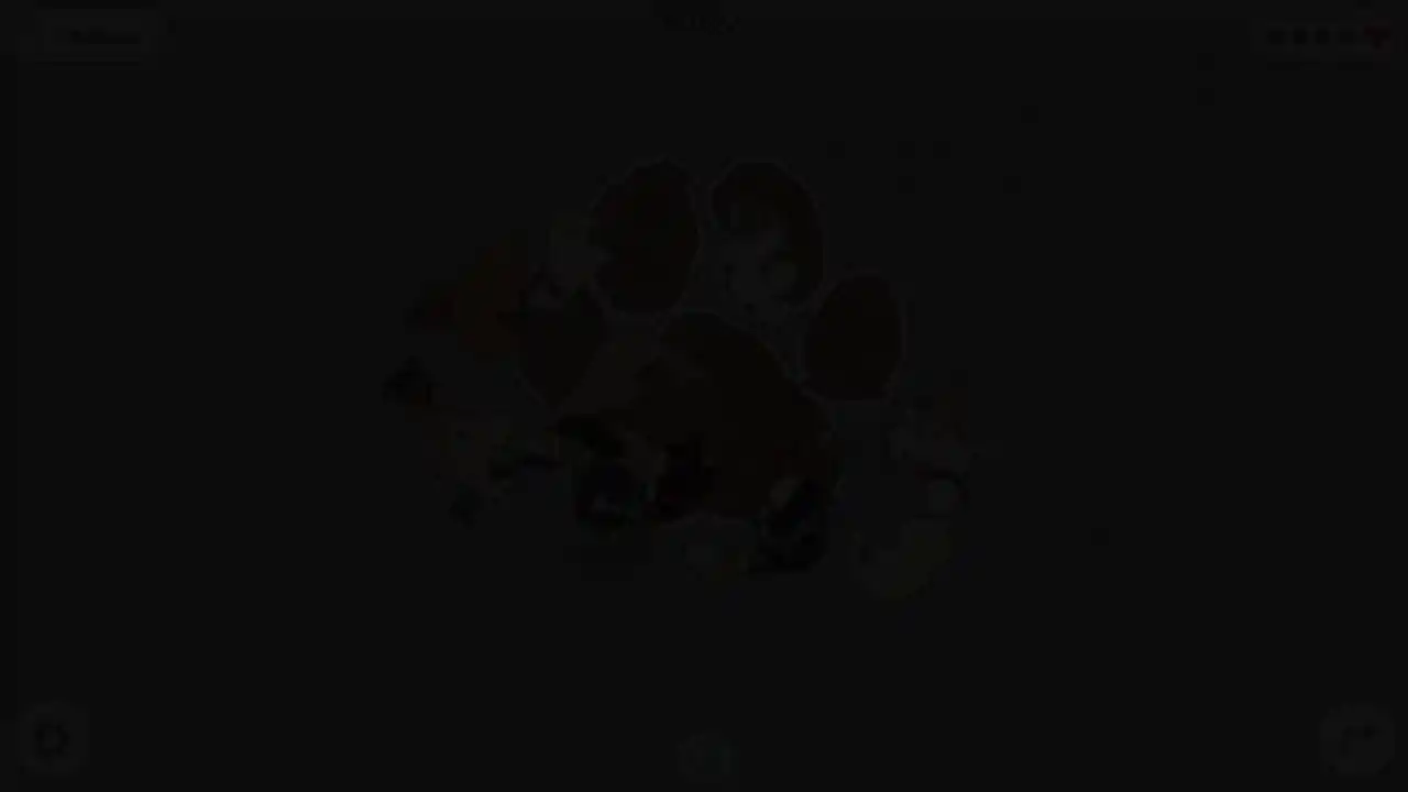 挤在一起的狗狗