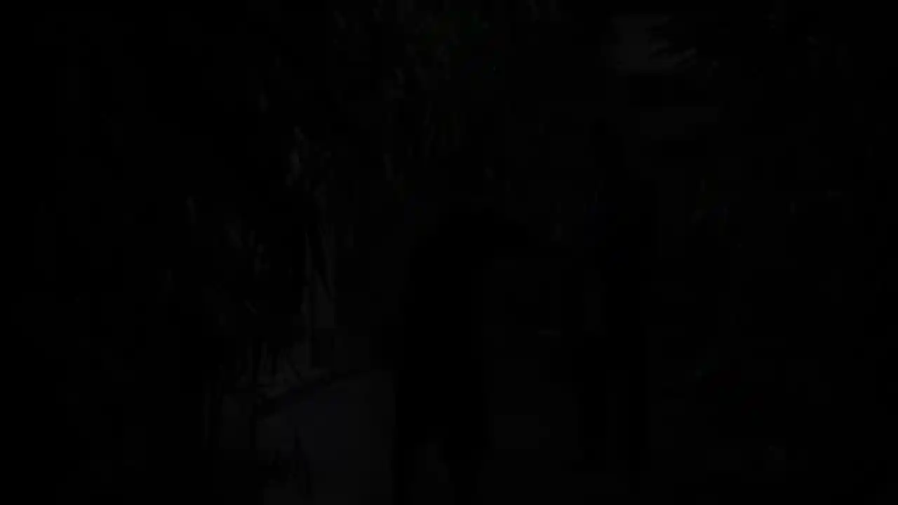 与美女合租的99种死法