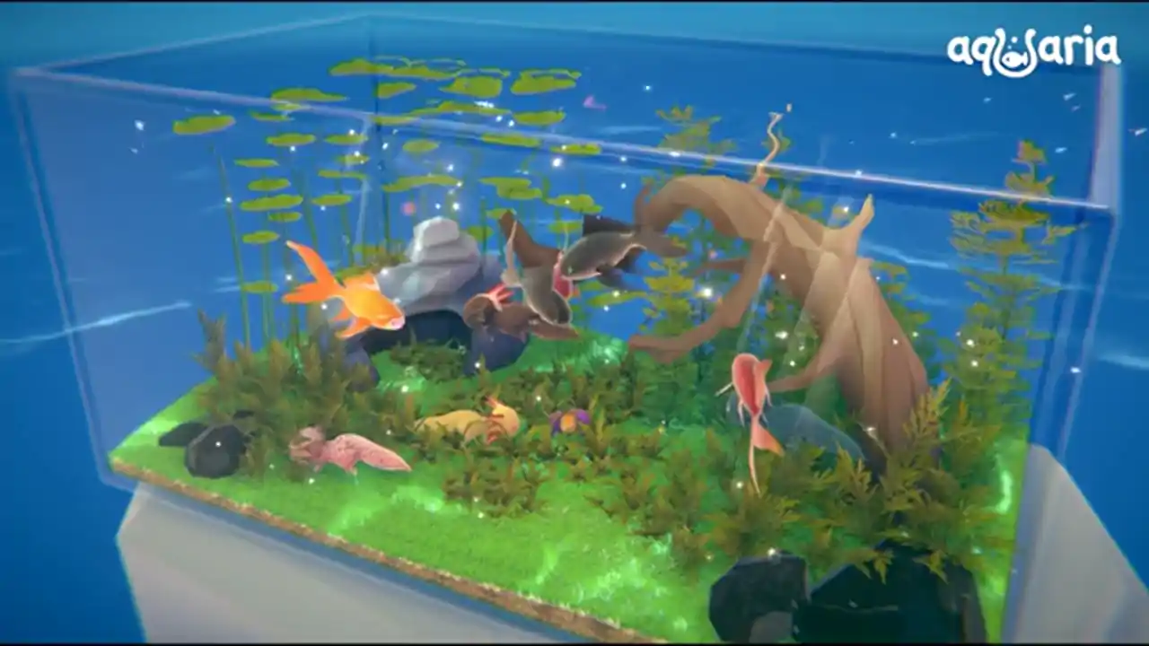 水族馆