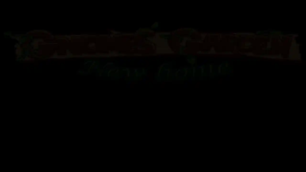 Gnomes Garden New home