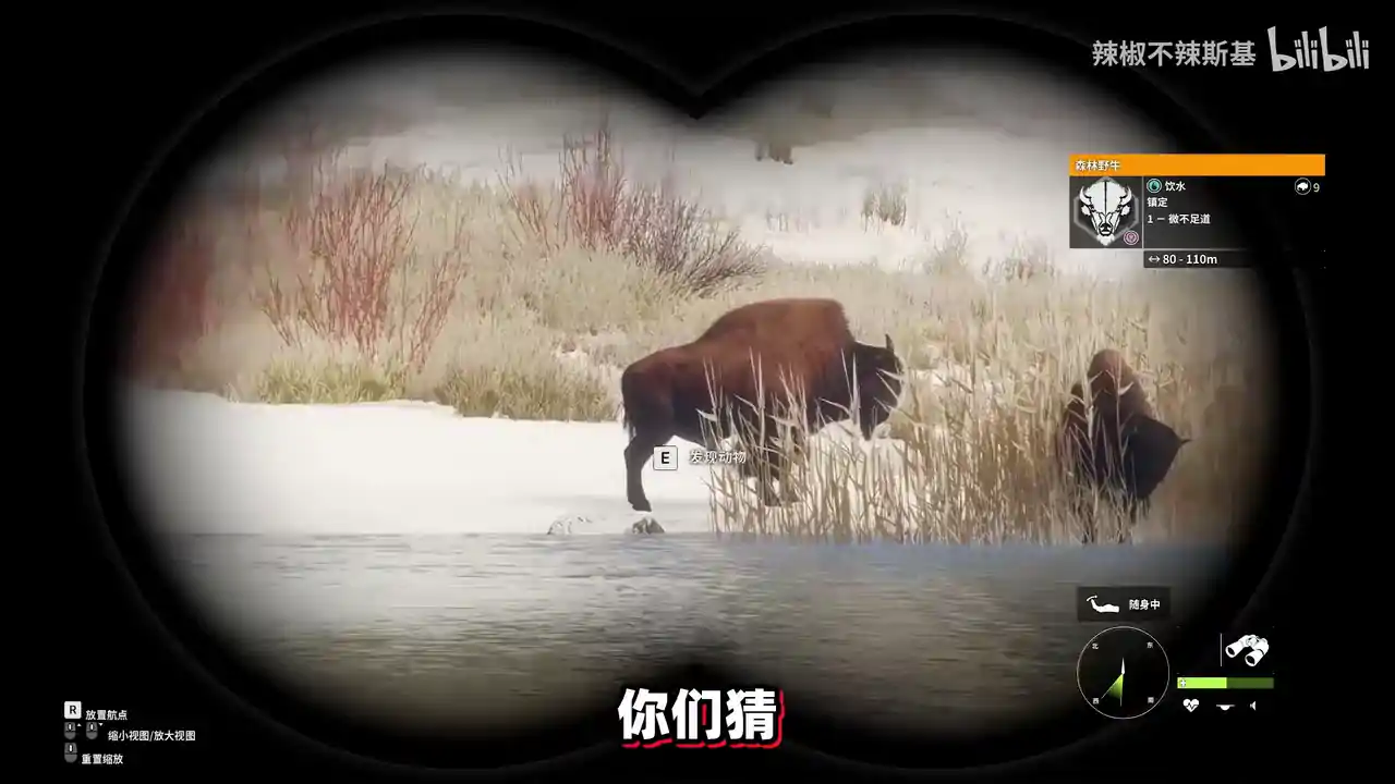 荒野的召唤（闪迹云游戏）