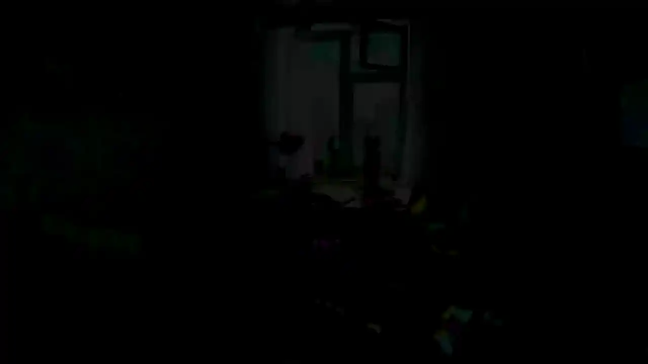 The Cat! Porfirio's Adventure