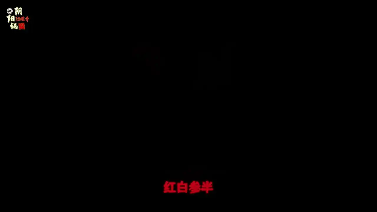 阴阳锅3阴缘牵