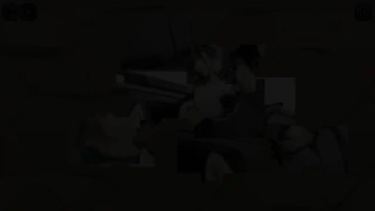 Puzzles for smart: Dogs