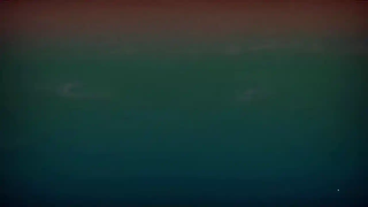胡闹厨房2-PC