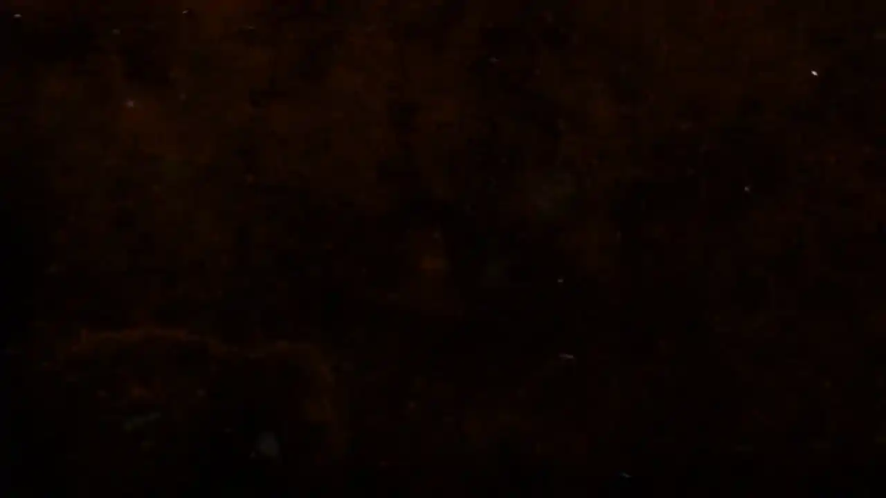 The Last Train - Definitive Edition