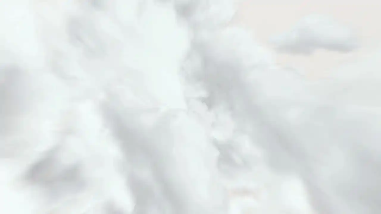 三国大领主