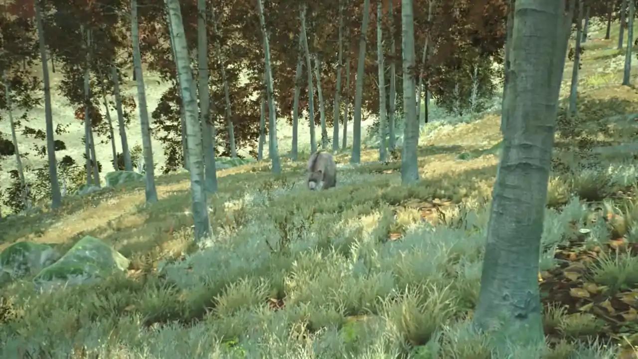 猎人之路：狂野欧洲