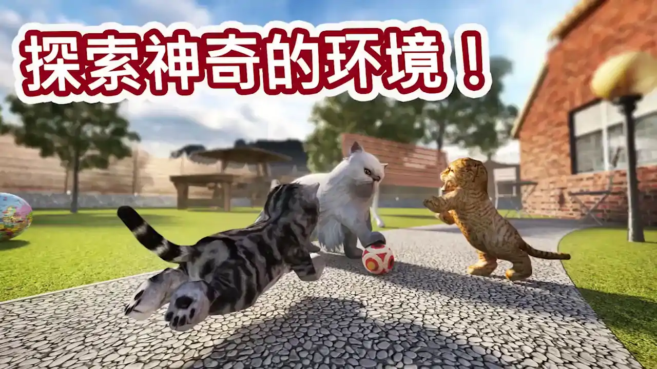 猫咪模拟器