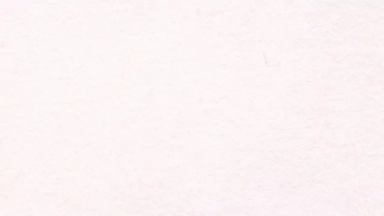 武士幸存者 -战姬当千-