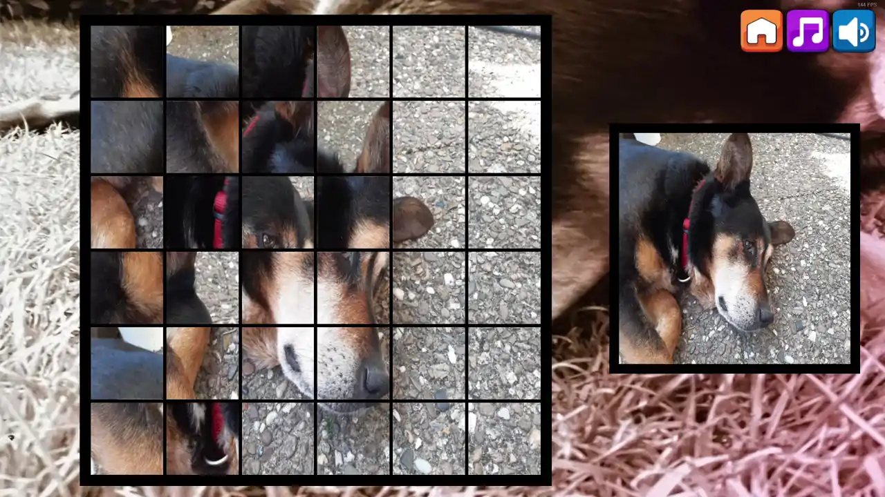 OG Puzzlers: Kira Maus